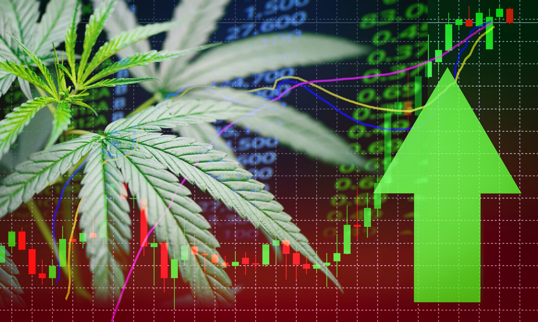 How is The Needle Moving On These Two Cannabis Stocks-CWEB, OGI