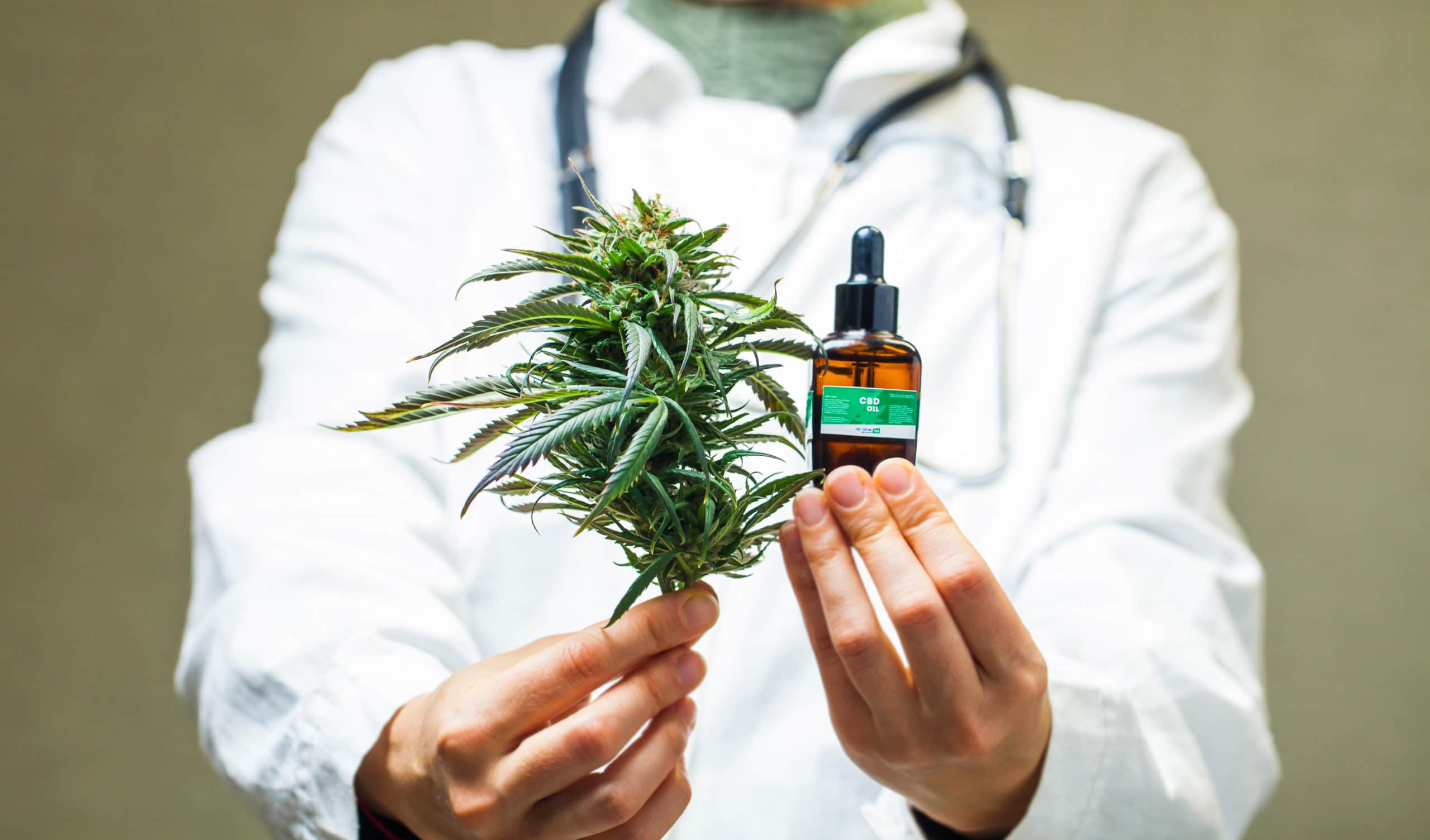 Should You Consider Buying This Cannabis Stock-VLNS.TO