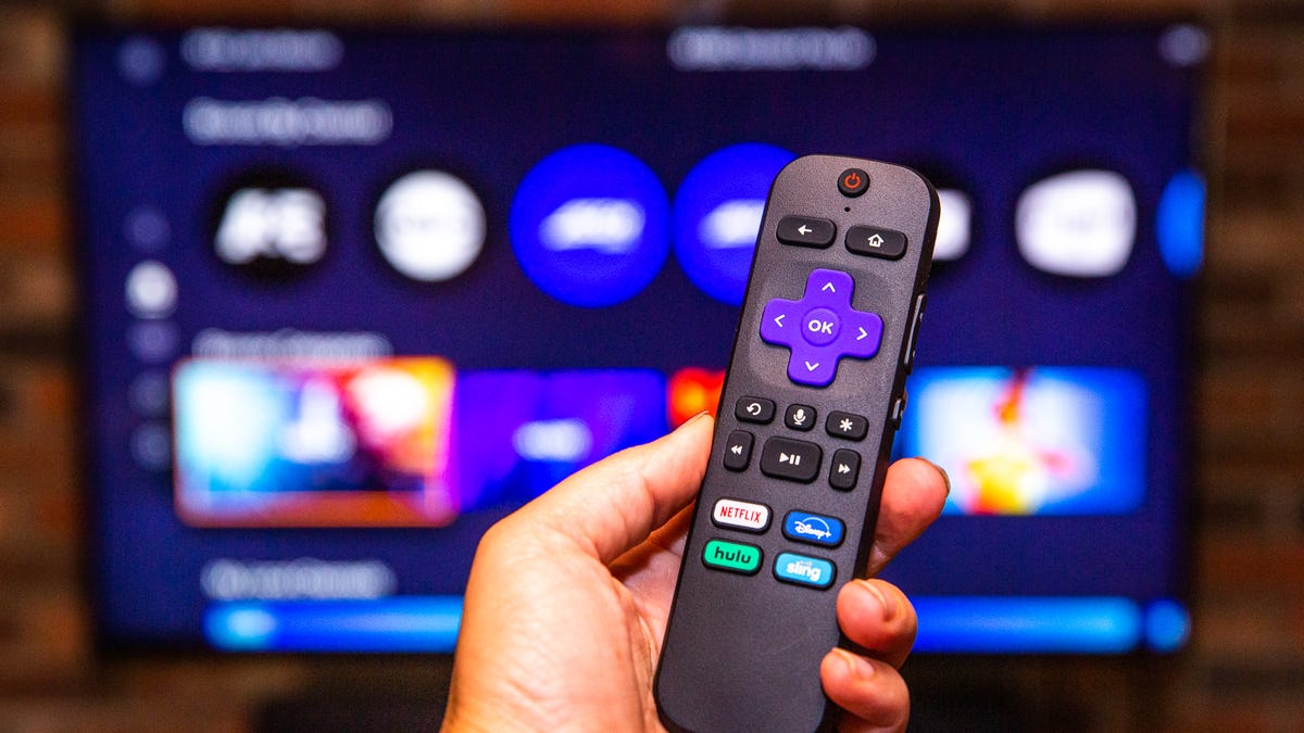 What Is The Status of This Blue Chip Stock-ROKU