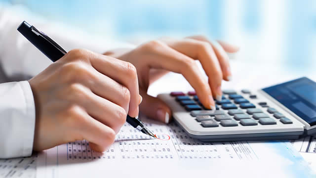 Buy, Sell or Hold This Small Cap US Stock-RPAY