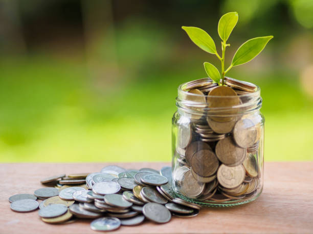 Should You Buy Sell or Hold This Small Cap US Stock-BYND