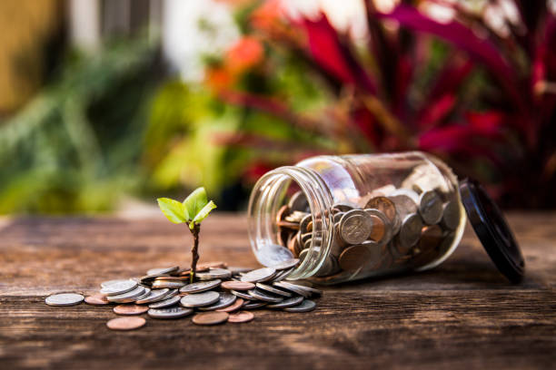 Should You Buy This Mid Cap US Stock-NVEI