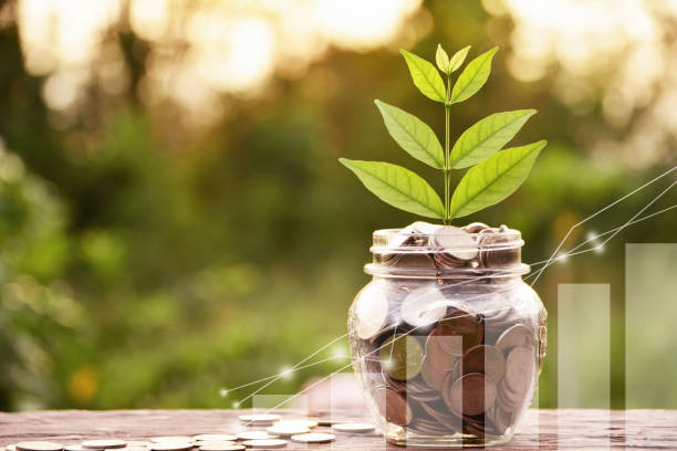 Should You Invest In This US Blue Chip Stock-MBLY