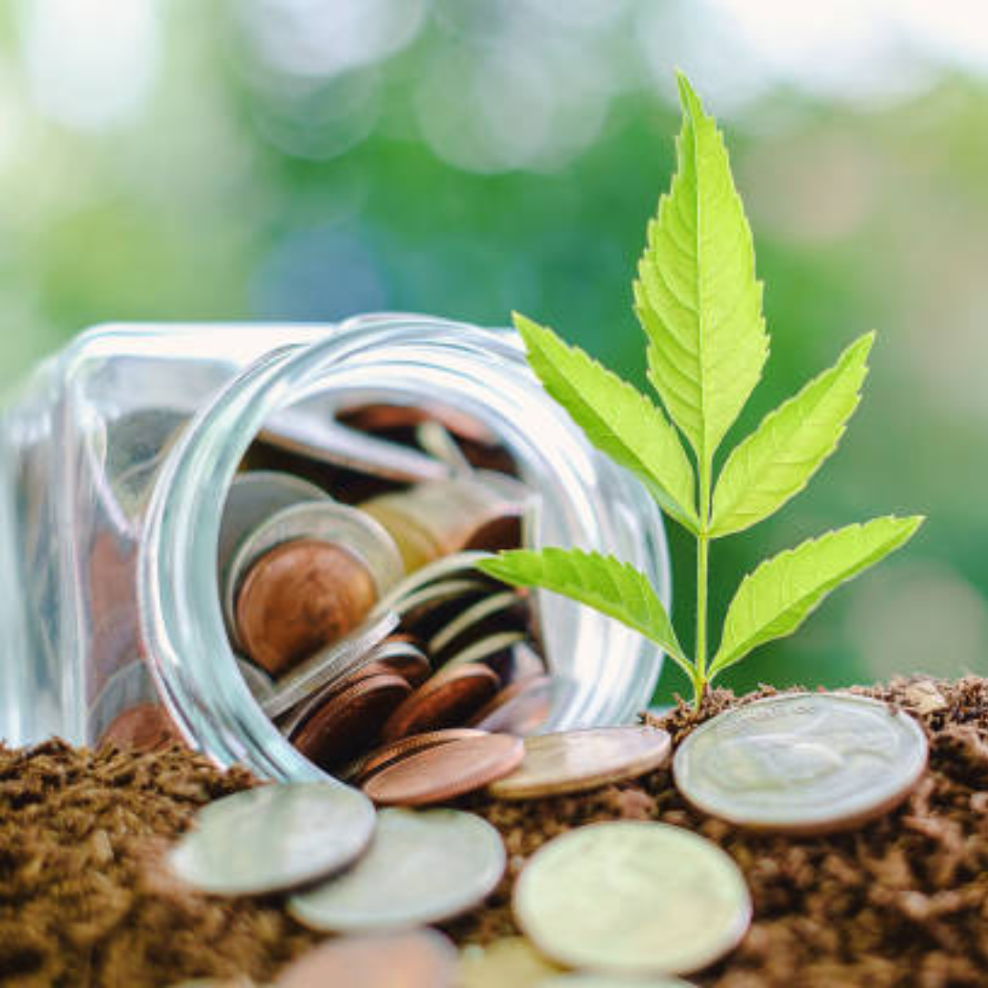 Should You Ride on This Small Cap US Stock-ASTS