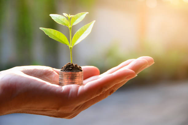 Should You Go For This Mid Cap Tech Stock-ALGM