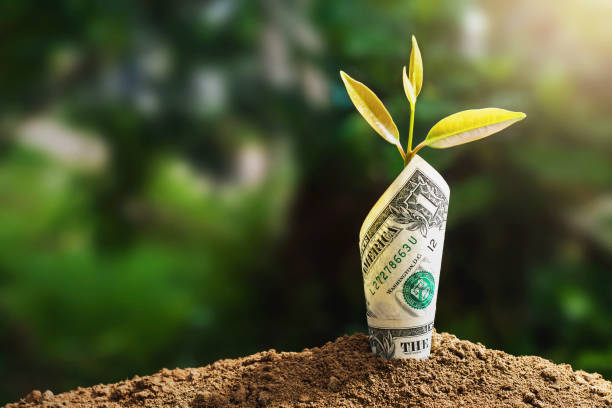 Should You Punt on This US Penny Stock-EOSE