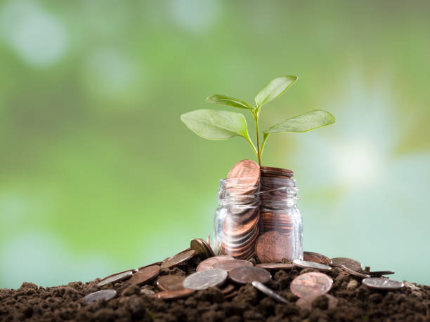 Should You Load On This Small Cap Stock-PLOW